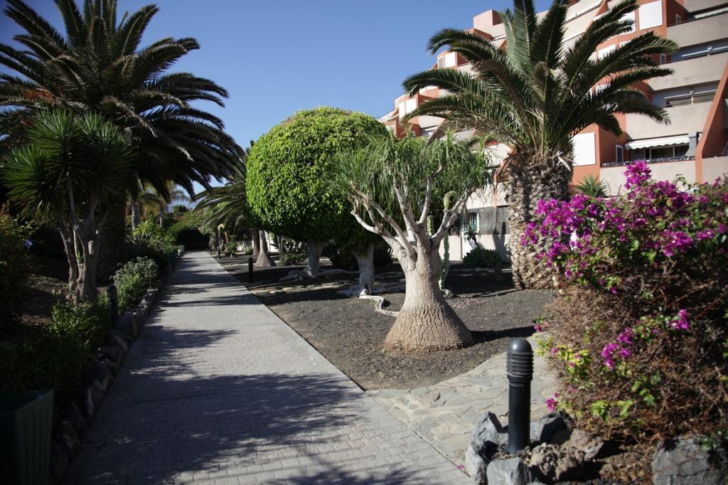 Apartamento El Cano Radazul Kültér fotó